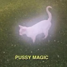 PussyPIC