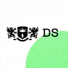Финансы и инвестиции | DS CONSULTING