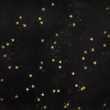 garden of astra