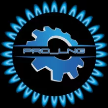 PRO_LNG