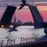 Питер2