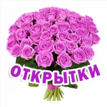 Женские Открытки 💝