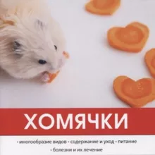 Бездом2ные