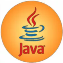 Java Geek