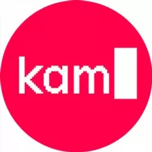 kamyshev.code