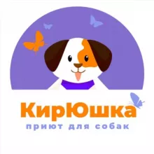 Приют «КирЮшка» г. Киров