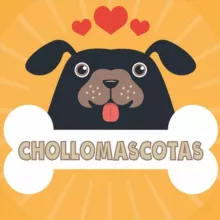 𝗖𝗛𝗢𝗟𝗟𝗢𝗠𝗔𝗦𝗖𝗢𝗧𝗔𝗦 🐾