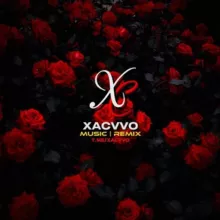 ⚜️ 𝐗 𝐀 𝐂 𝐕 𝐕 𝐎 ⚜️ Music | Remix