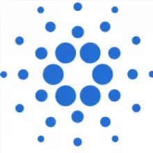 Cardano Russia - Русскоязычное сообщество