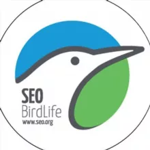 SEOBirdLife. Rutas, excursiones y viajes Madrid