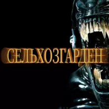 𝖘𝖊𝖑𝖍𝖔𝖟𝖌𝖆𝖗𝖉𝖊𝖓 🪲