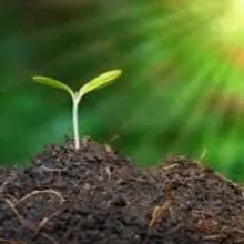 🌱🌾 Fulvic & Our Health 🌾🌱