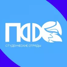 Студенческие отряды ПФО | РСО