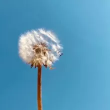 ʙᴏʀɴᴋʏʀɢʏᴢ 🇰🇬🇺🇸
