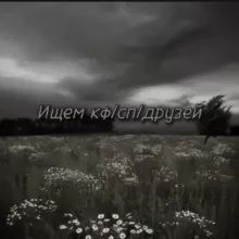 Ищем кф/сп/друзей