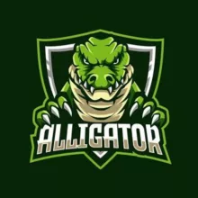 Alligator Crack 🐊