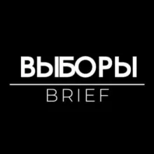 Выборы Brief
