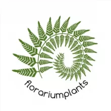 Florariumplants