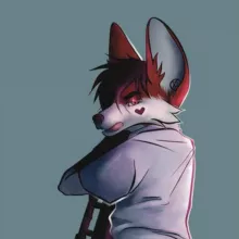 Vixeys fun corner 🦊