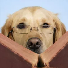 Information Retriever
