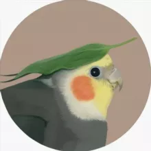 parrots 🐦🍍