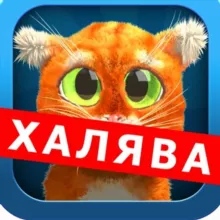 ХАЛЯВА! БОТЫ! ЗАРАБОТОК! КОНКУРСЫ!