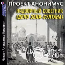 Проект Анонимус - Надворный советник (Дело Зели-Султана) [Клюквин Александр]