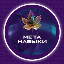 Самореализация через метанавыки