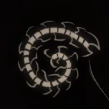 s.lobotomia ☨