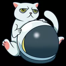CAT Token