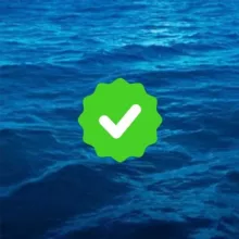 Тесты морякам помощь Marlins, CES, Ecdis, ASK, BSM