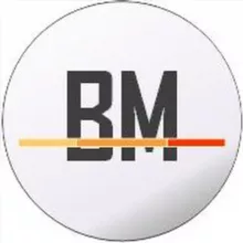 BrandMeister General Support (English)