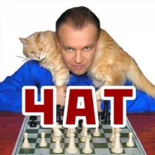 Crestbook-чат 🦔