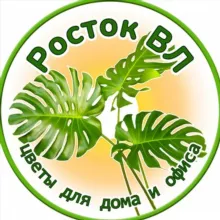 РостокВл 🪴 Rostok_Vl Владивосток