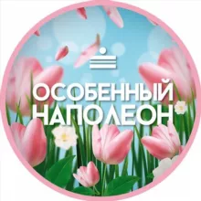 Особенный Наполеон ОРЕН
