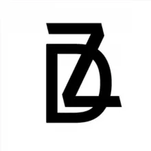 DYZ STORE