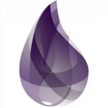 Elixir Brasil