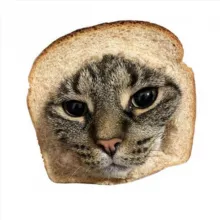 PikWB