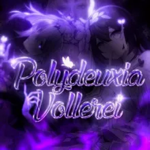 𝙋𝙤𝙡𝙮𝙙𝙚𝙪𝙭𝙞𝙖𝙑𝙤𝙡𝙡𝙚𝙧𝙚𝙞ᝰ.ᐟ