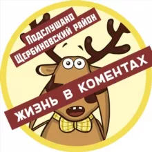 Жизнь в коментах | Чат ЩР