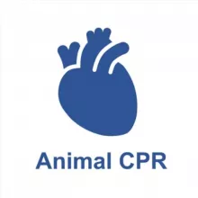 Animal CPR