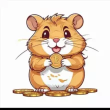 Hamster Combat (шифр)