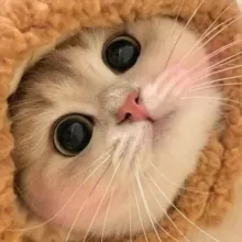 Котолампово