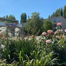 Gymnazium_8tih