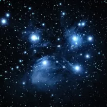 The Awakened