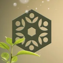 🌱 TRIBEHAUS Events