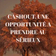 Le piratage des carte de crédit 💳