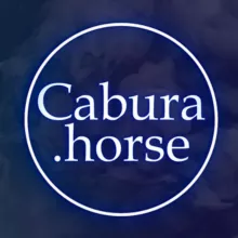 ВСЁ О CABURA × ОБУЧАЛКА - ИГРА КАБУРА