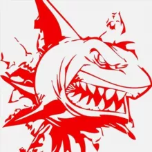 Кроссовки "RED SHARK"