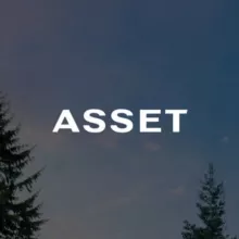 ASSET | Коттеджные посёлки